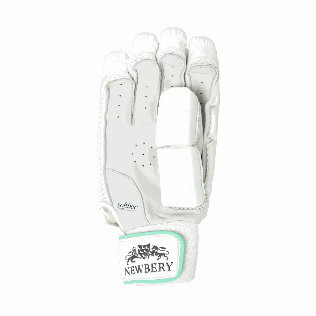 KUDOS GLOVE UP.webp