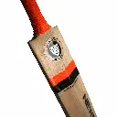 MASTER 100 BACK DETAIL.webp