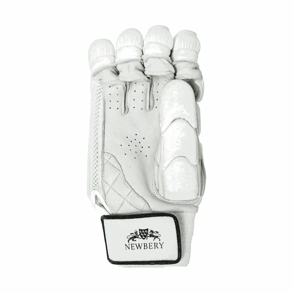 PLAYER GLOVE BACK.webp