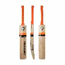 MASTER 100 BAT(FSB).webp