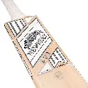 SPS Bat (PRO) Detail Front 2048.webp