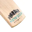 Kudos Bat (PRO) Detail Toe 2048.webp