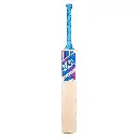 Academy Bat (PRO) Front 2048.webp