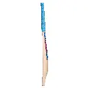 Academy Bat (PRO) Side 2048.webp