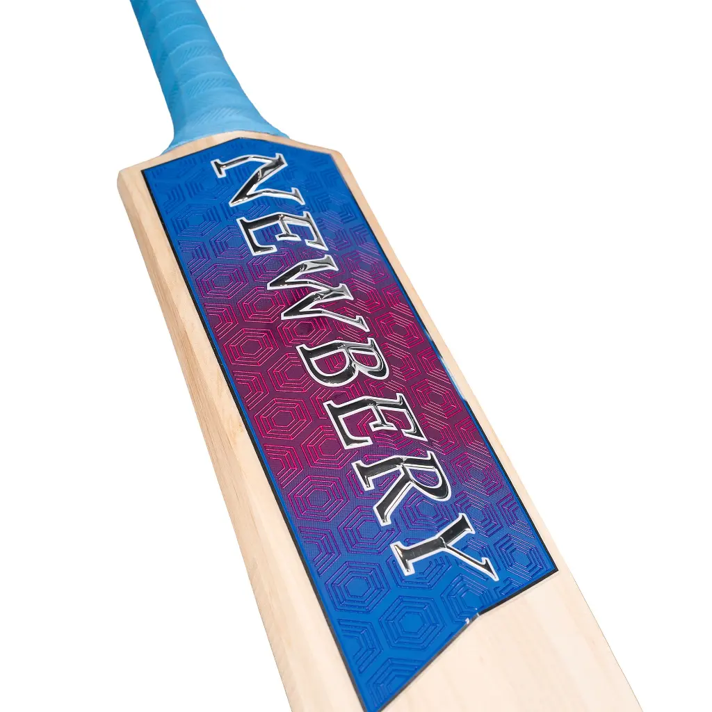 Academy Bat (PRO) Detail Rear 2048.webp