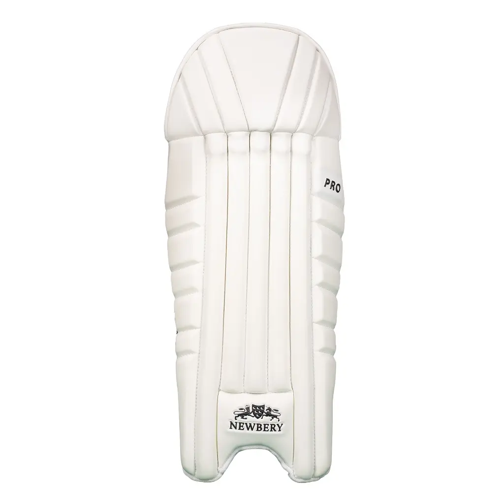 PRO Wicket Keeper Pad Front 2048.webp