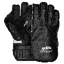 PRO Wicket Keeper (Black Gloves) 2048.webp