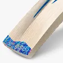 DSC-BLU-UK-RANGE-ENGLISH-Willow-Cricket-Bat-uper-toe.webp