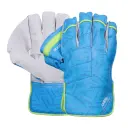Newbery Pulse Wicket Keeping Gloves