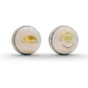 Newbery Elite Cricket Ball - Mens White