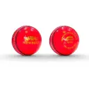 Newbery Elite Cricket Ball - Mens Pink