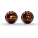 Newbery Elite Cricket Ball - Mens Red