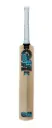 GM Diamond 101 Junior Cricket Bat