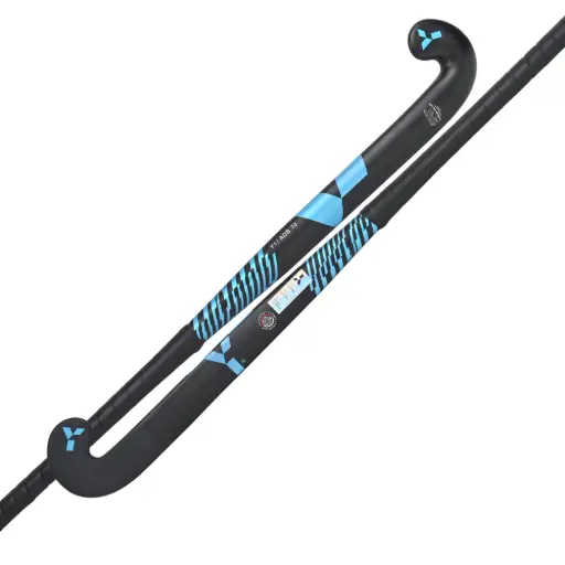 Y1 - ADB 70