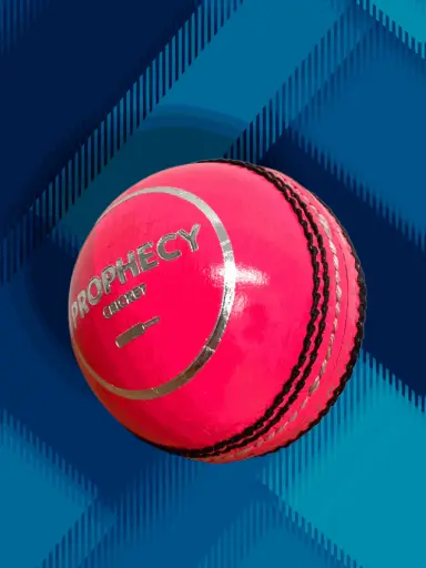 [2582] Prophecy Cricket Ball Pink