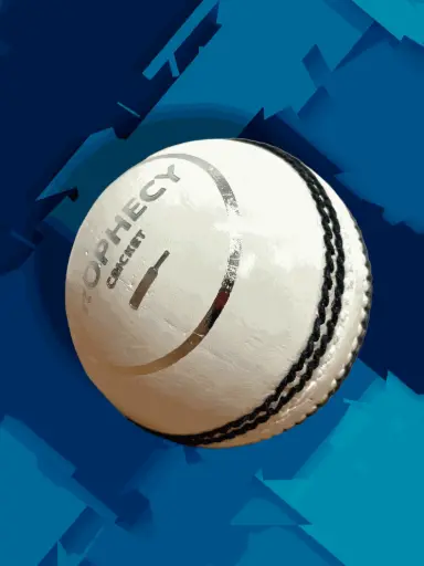 [2583] Prophecy Cricket Ball White