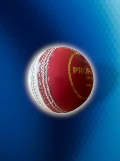 [2589] Prophecy Cricket Training Ball White/Red